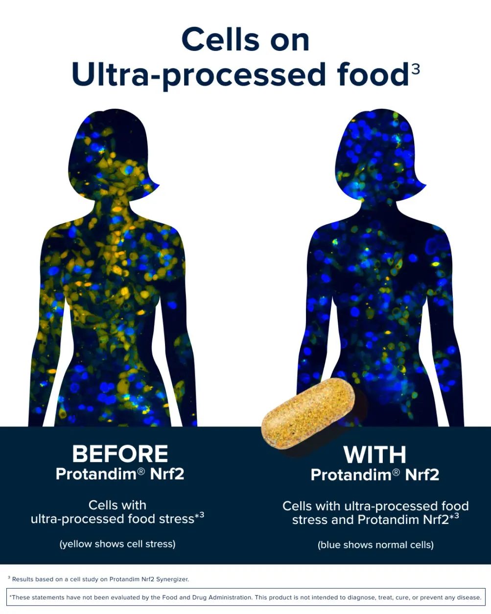 Before and after cell study showing reduced ultra-processed food stress with Protandim Nrf2